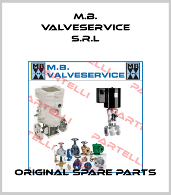 M.B. VALVESERVICE S.R.L