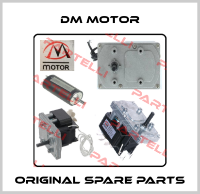 DM Motor