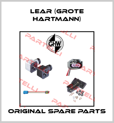Lear (Grote Hartmann)