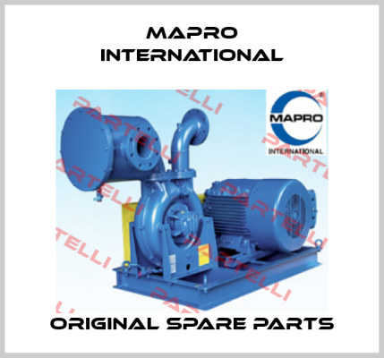MAPRO International