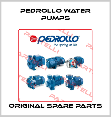 Pedrollo Water Pumps