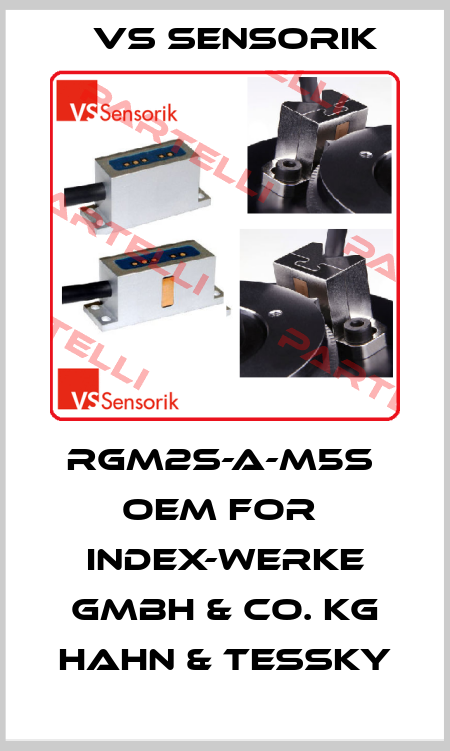 RGM2S-A-M5S  OEM for  INDEX-Werke GmbH & Co. KG Hahn & Tessky VS Sensorik