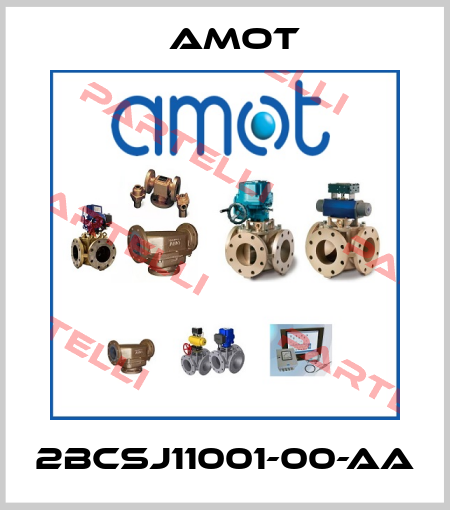 2BCSJ11001-00-AA Amot