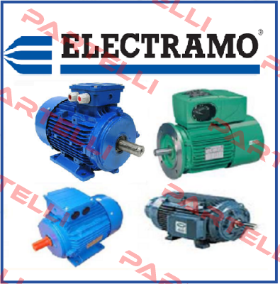 2HP/2815 D/D  Electramo