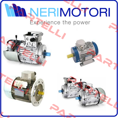 3 T63B2 12050221002  POWER RATING : 0.3 KW  SPEED : 50 TO 550 RPM  IP55  Neri Motori