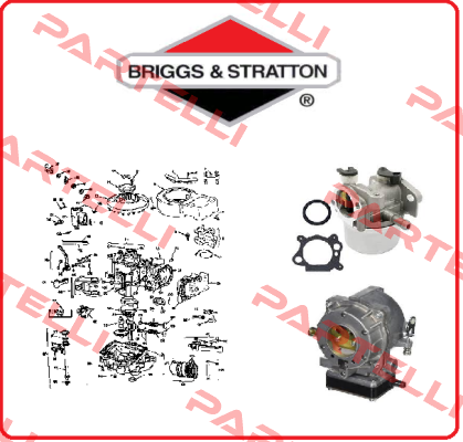 30209 5500  OBSOLETE  Briggs-Stratton