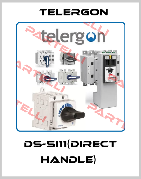 DS-SI11(Direct handle)  Telergon