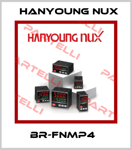 BR-FNMP4   HanYoung NUX