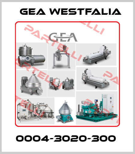 0004-3020-300  Gea Westfalia
