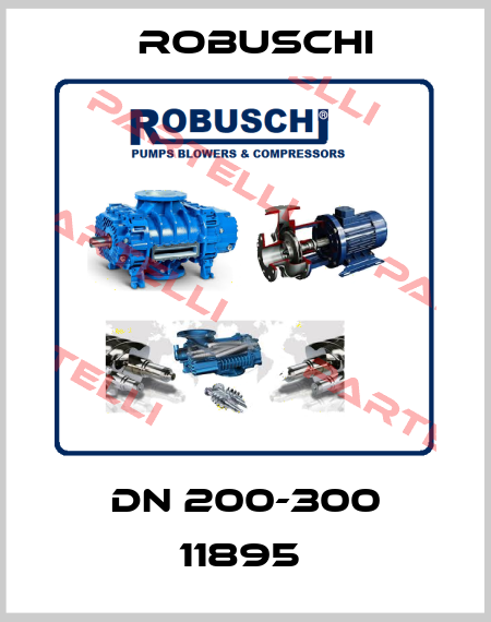 DN 200-300 11895  Robuschi