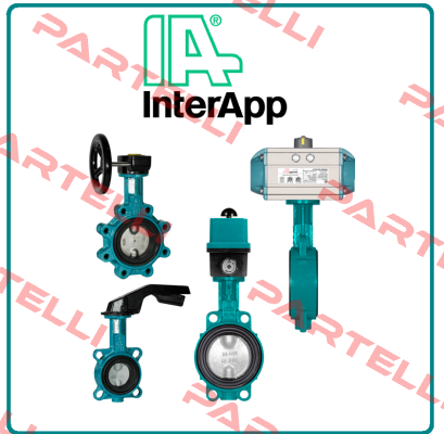 B30250.22-2BE.4GT.TS  InterApp