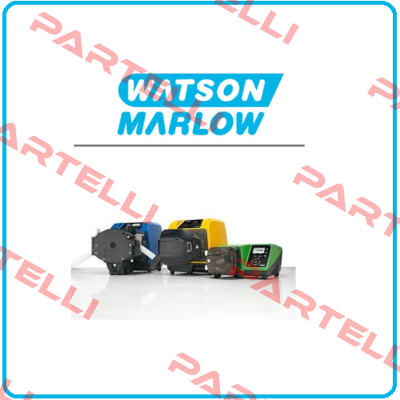 040.LT10.3D0 Watson Marlow