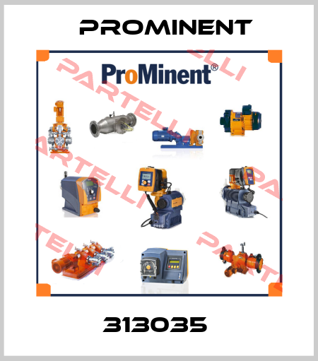 313035  ProMinent