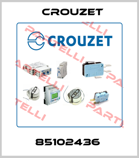 85102436  Crouzet
