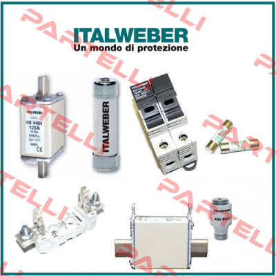 01756  Italweber