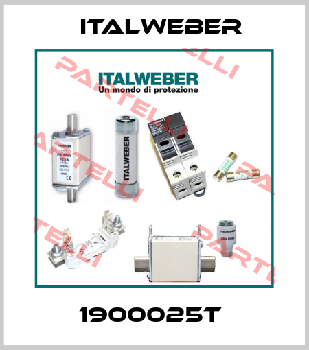 1900025T  Italweber