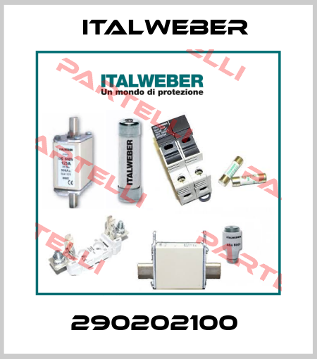 290202100  Italweber