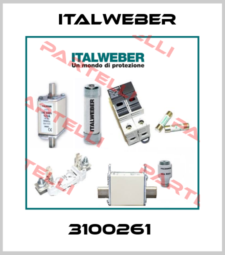 3100261  Italweber