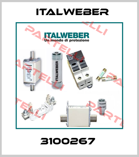 3100267  Italweber