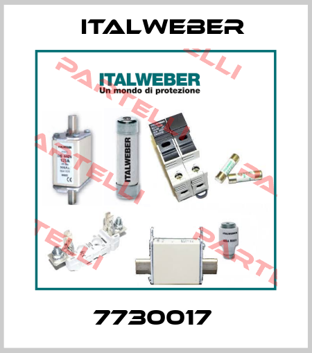 7730017  Italweber