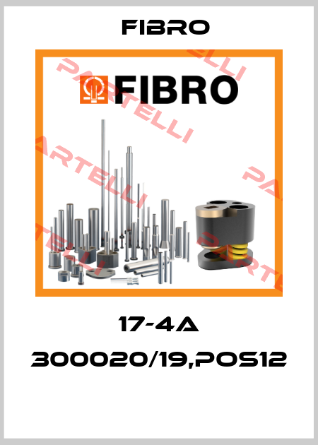 17-4A 300020/19,pos12  Fibroflex