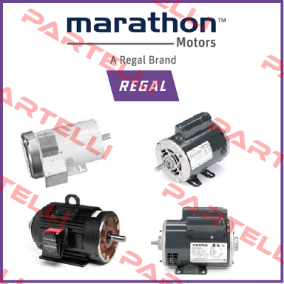 11132A18HJN Marathon (Regal)