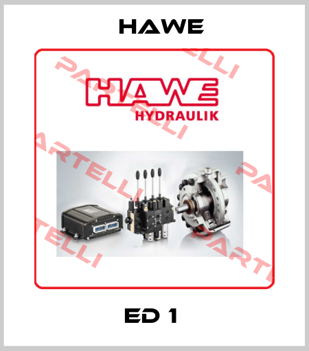 ED 1  Hawe