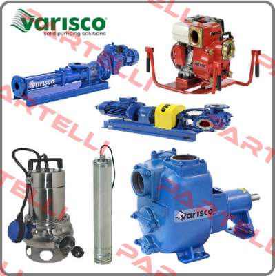 10012309  Varisco pumps