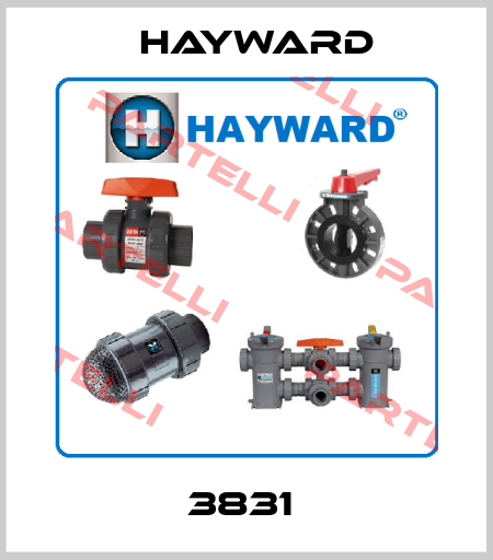 3831  HAYWARD