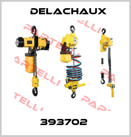 393702  Delachaux