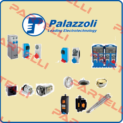 400247  Palazzoli