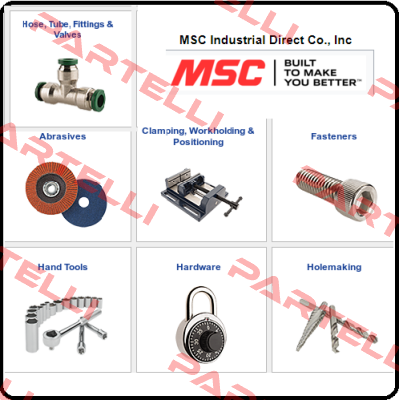 401029-20  10-2005 Msc