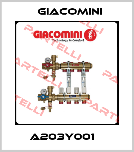 A203Y001    Giacomini