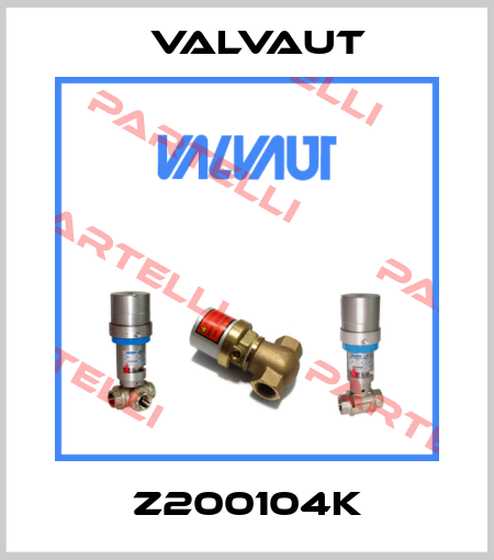 Z200104K Valvaut