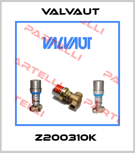 Z200310K  Valvaut