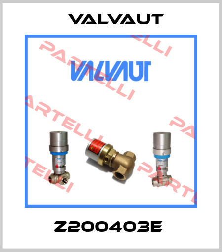 Z200403E  Valvaut