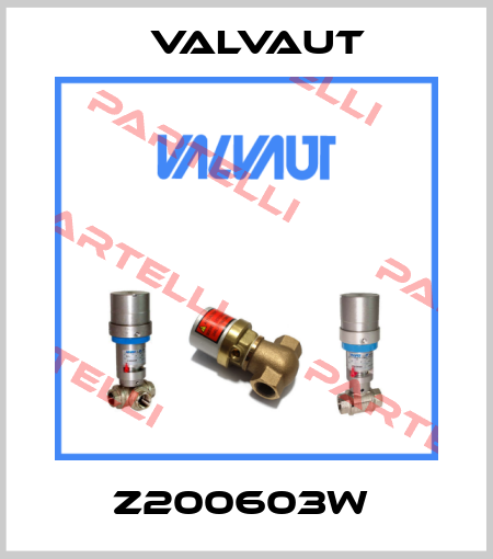 Z200603W  Valvaut