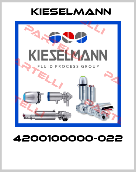 4200100000-022  Kiesselmann