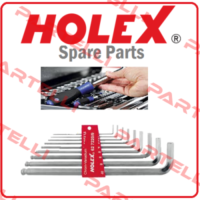 43 4900-17  Holex