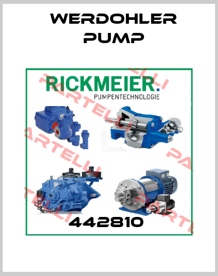 442810  Werdohler Pump