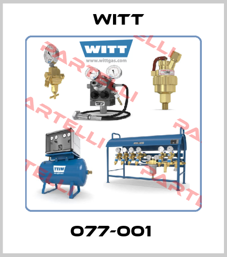 077-001  Witt Gasetechnik