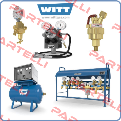 077-001 Witt Gasetechnik