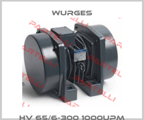 HV 65/6-300 1000UPM Wurges