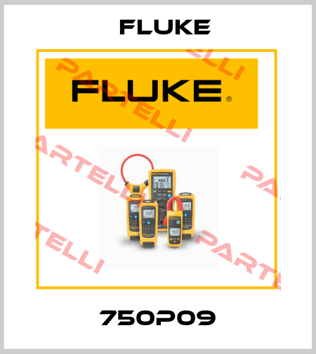 750P09 Fluke