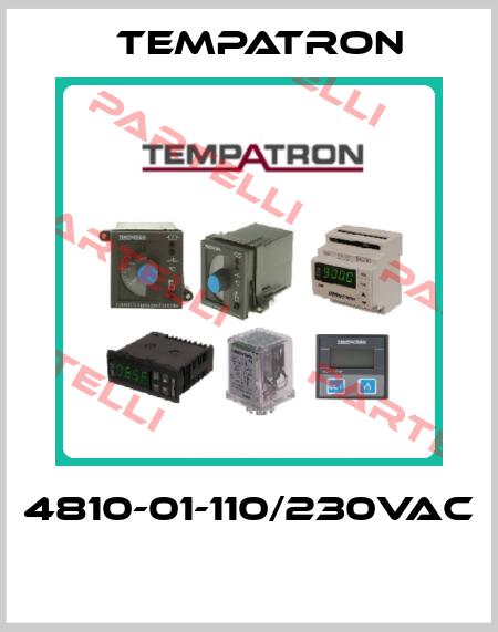 4810-01-110/230VAC  Tempatron