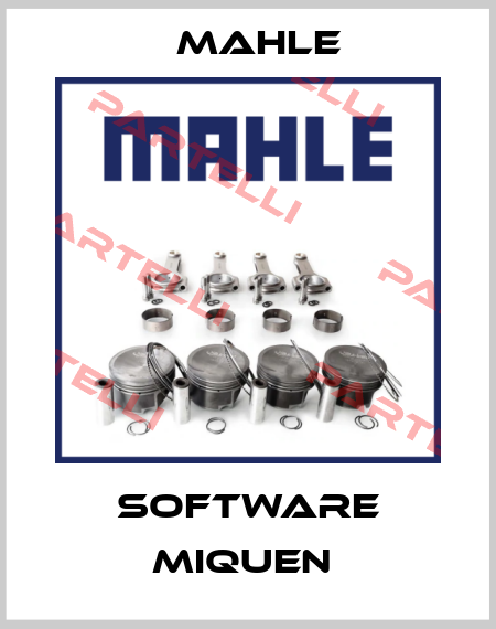 Software Miquen  Mahle