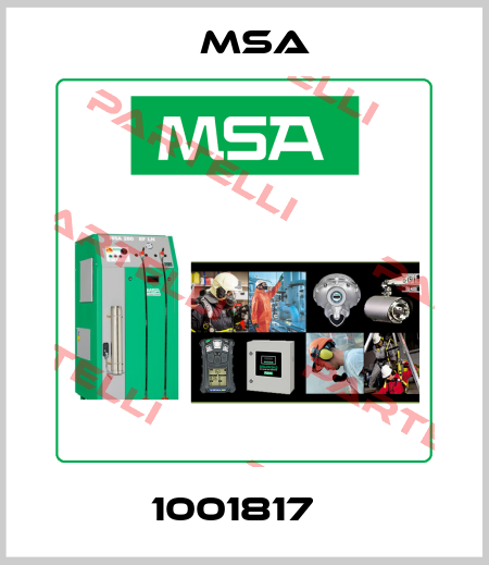 1001817   Msa