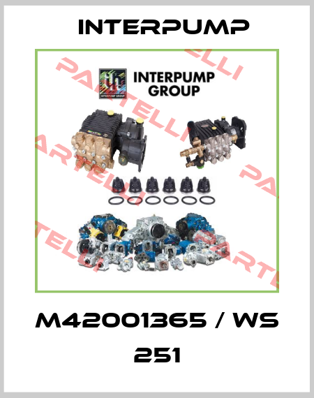 M42001365 / WS 251 Interpump