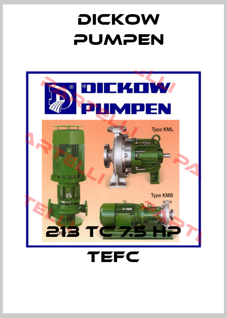 213 TC 7.5 HP TEFC Dickow Pump