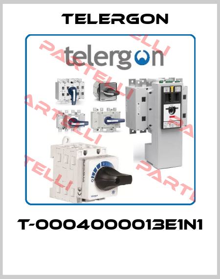 T-0004000013E1N1  Telergon
